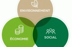 « Mesurez la maturité RSE de votre entreprise : le premier pas vers une performance durable et optimale ! »